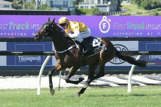 Qiji Express (NZ) and She’s a Thief (NZ) fought out the finish in the $60,000 Listed Mufhasa FastTrack Stakes.